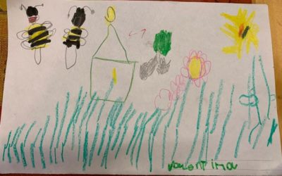 De abejas y experiencias